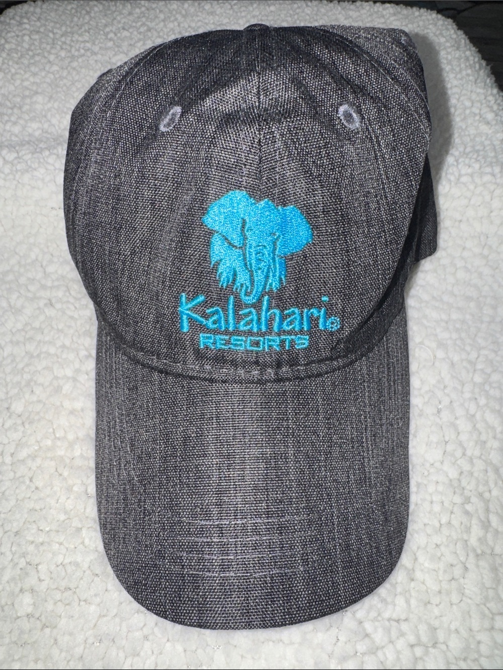 Kalahari- NWOT Charcoal Baseball Cap with Teal Elephant Embroidery - Picture 3 of 12
